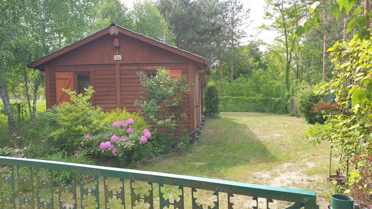 Domki Domek Na Jeziorem Wilczynskim Budzislawskim , Las, Osobno Ogrodzony 2-6 Osob- Klimatyzacja, Ogrzewanie, 62-550 Zygmuntowo Gm Wilczyn ภายนอก รูปภาพ