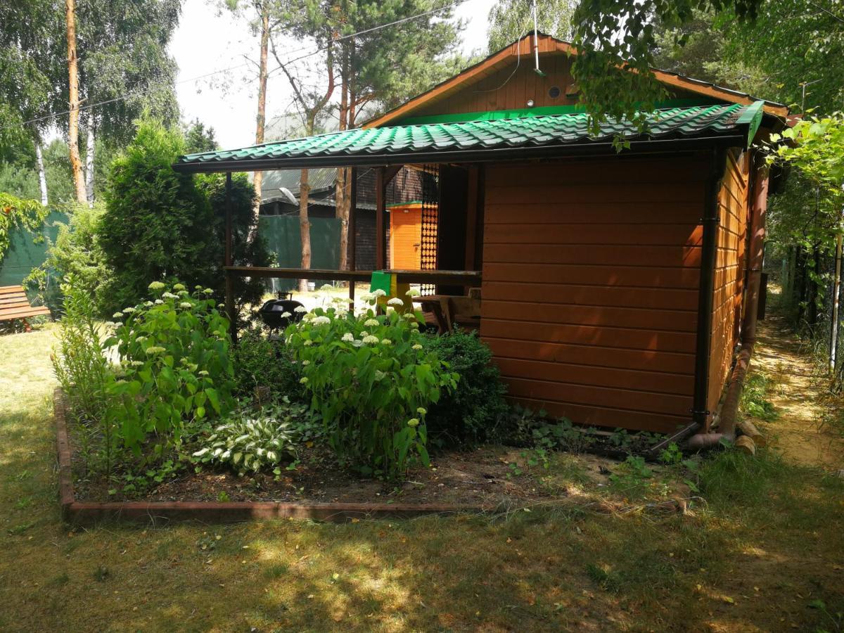 Domki Domek Na Jeziorem Wilczynskim Budzislawskim , Las, Osobno Ogrodzony 2-6 Osob- Klimatyzacja, Ogrzewanie, 62-550 Zygmuntowo Gm Wilczyn ภายนอก รูปภาพ