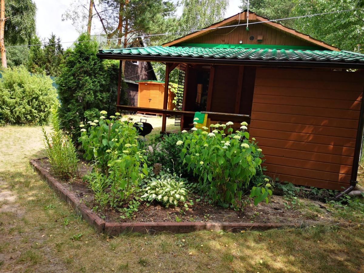 Domki Domek Na Jeziorem Wilczynskim Budzislawskim , Las, Osobno Ogrodzony 2-6 Osob- Klimatyzacja, Ogrzewanie, 62-550 Zygmuntowo Gm Wilczyn ภายนอก รูปภาพ
